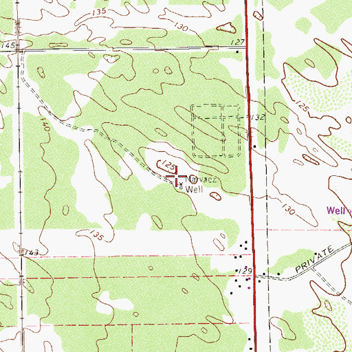 Topographic Map of Narvaez Well, TX
