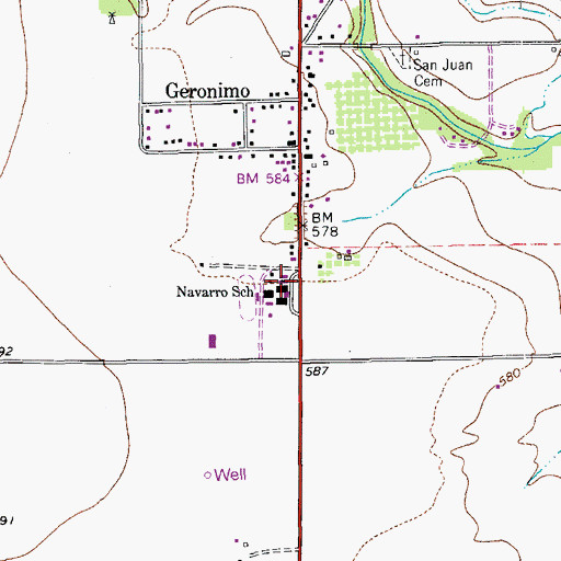 Topographic Map of Navarro School, TX