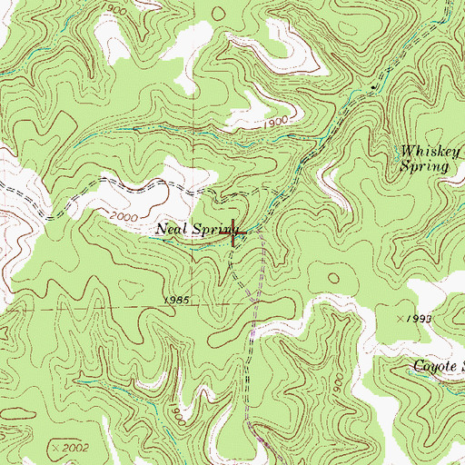 Topographic Map of Neal Spring, TX
