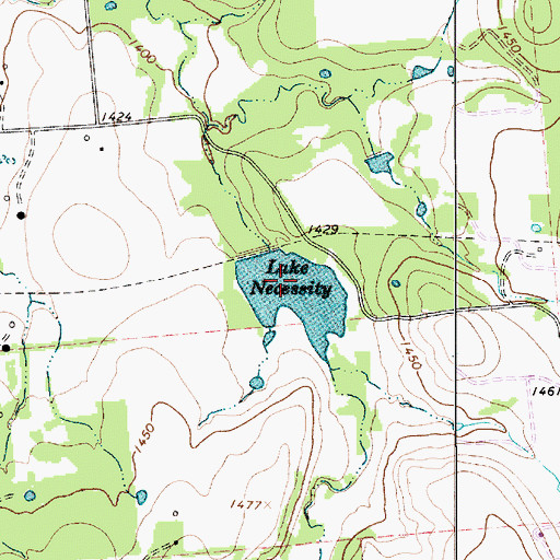 Topographic Map of Lake Necessity, TX