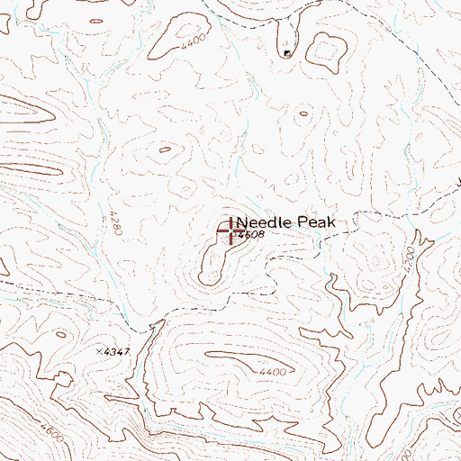 Topographic Map of Needle Peak, TX