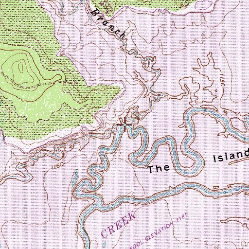 Topographic Map of Negro Creek, TX