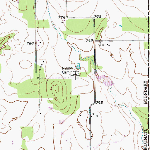 Topographic Map of Nelson Cemetery, TX