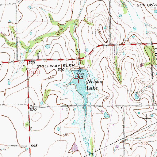 Topographic Map of Nelson Lake, TX