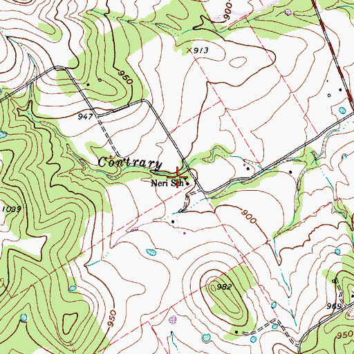 Topographic Map of Neri School, TX