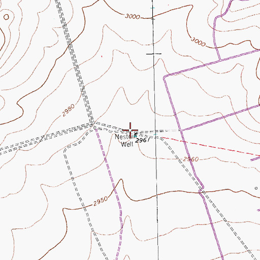 Topographic Map of Nester Well, TX