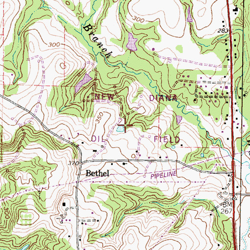Topographic Map of New Diana Oil Field, TX