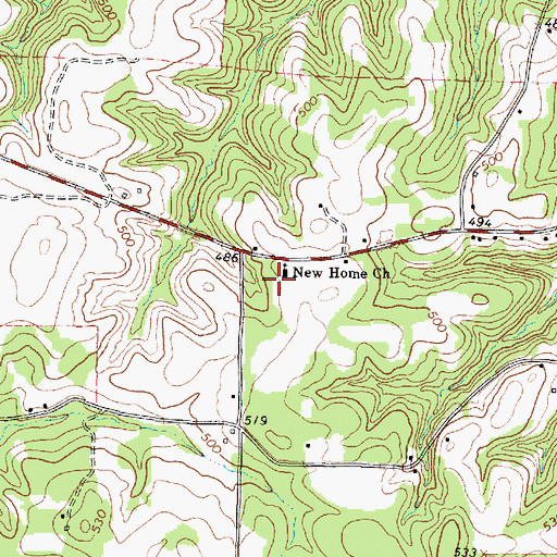Topographic Map of New Home Church, TX