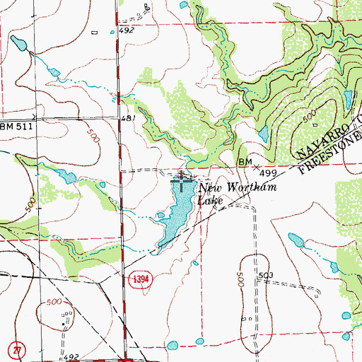 Topographic Map of New Wortham Lake, TX