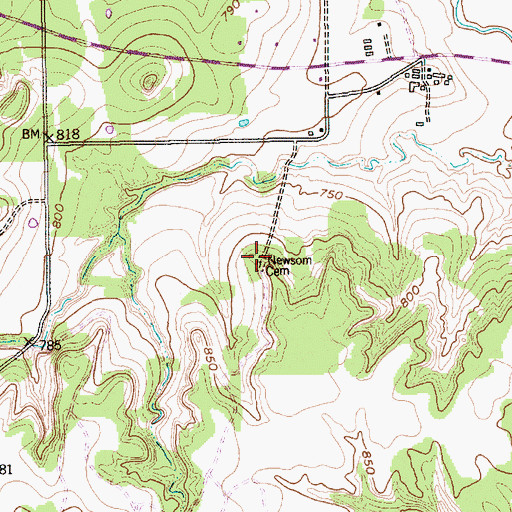 Topographic Map of Newsom Cemetery, TX