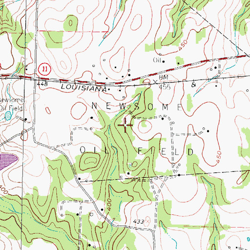 Topographic Map of Newsome Oil Field, TX