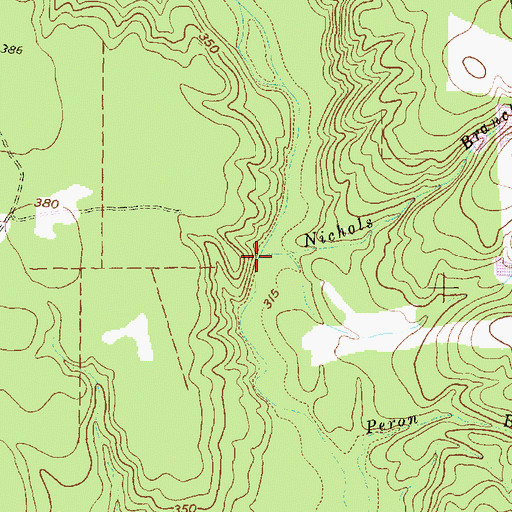 Topographic Map of Nichols Branch, TX