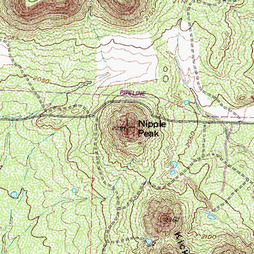 Topographic Map of Nipple Peak, TX