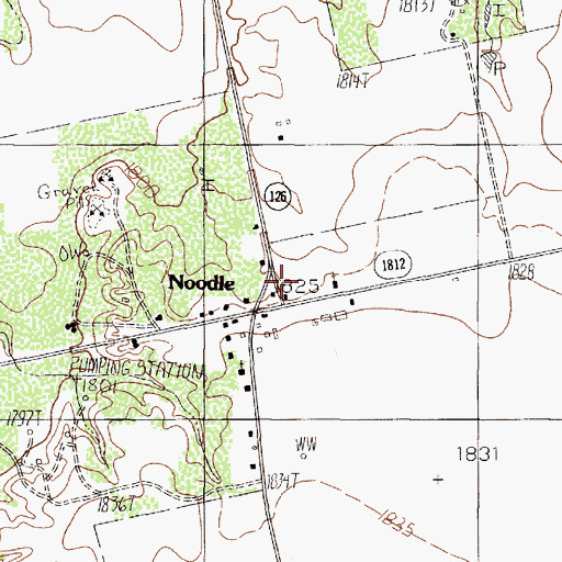 Topographic Map of Noodle, TX