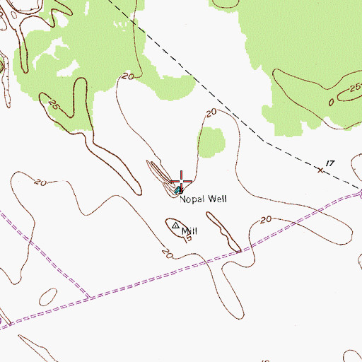 Topographic Map of Nopal Well, TX