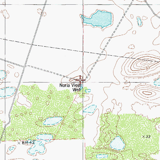 Topographic Map of Noria Vieja Well, TX