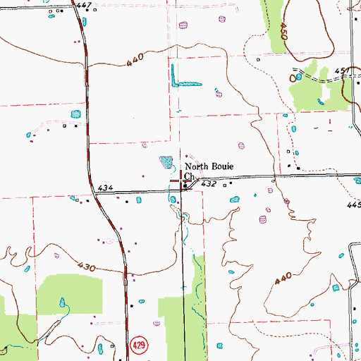 Topographic Map of North Bouie Church, TX