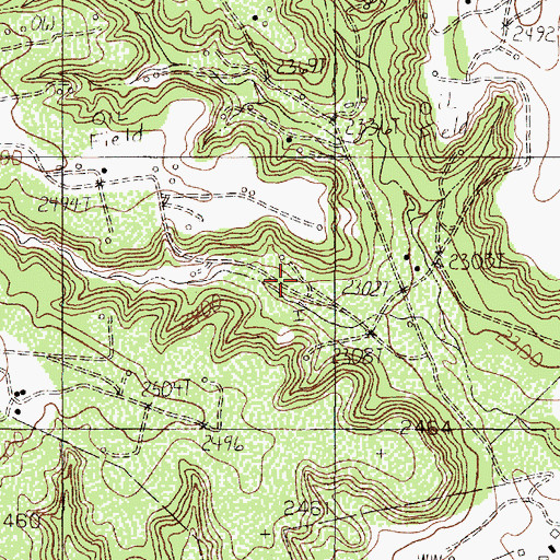 Topographic Map of North Dora Oil Field, TX
