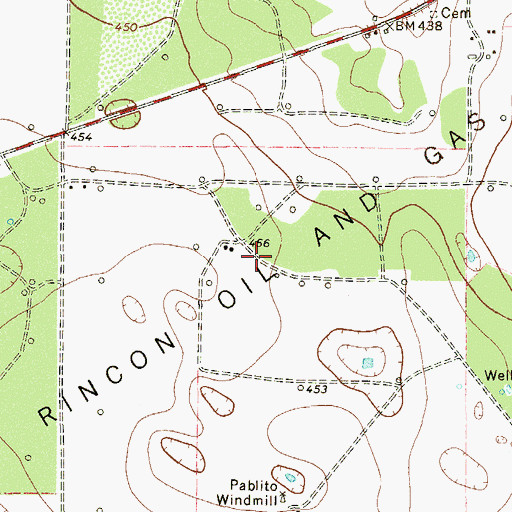 Topographic Map of North Rincon Oil and Gas Field, TX