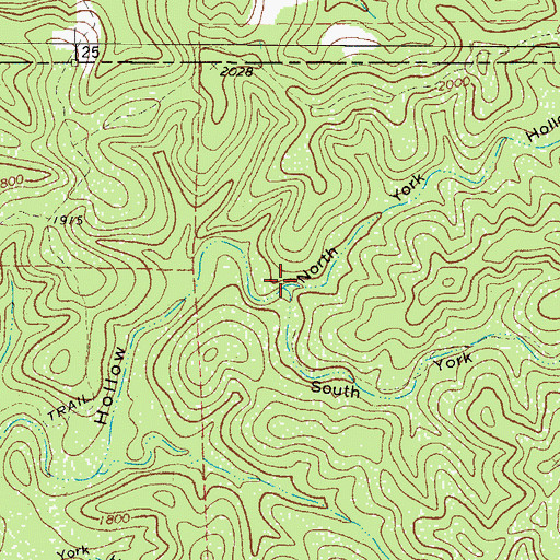 Topographic Map of North York Hollow, TX