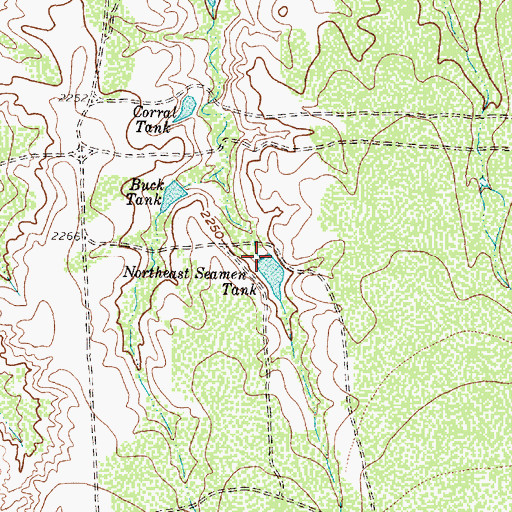Topographic Map of Northeast Seamen Tank, TX