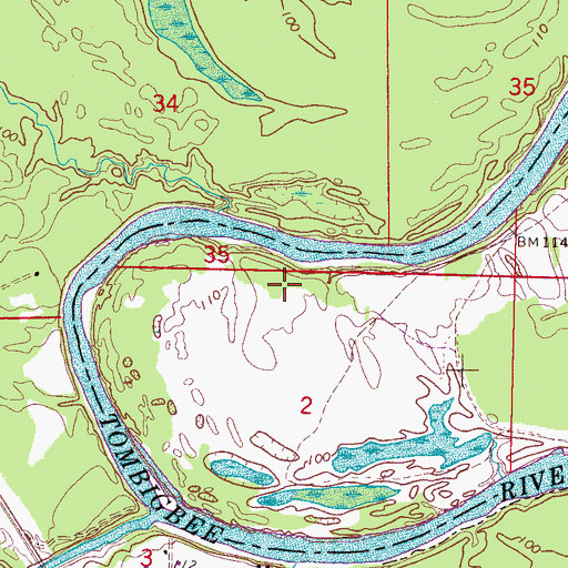 Topographic Map of Whitsetts Bluff, AL