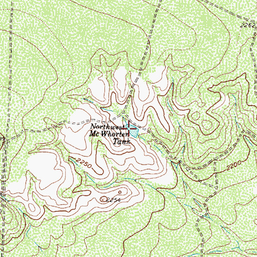 Topographic Map of Northwest McWhorter Tank, TX