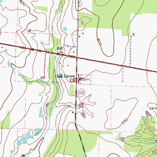 Topographic Map of Oak Grove Church, TX