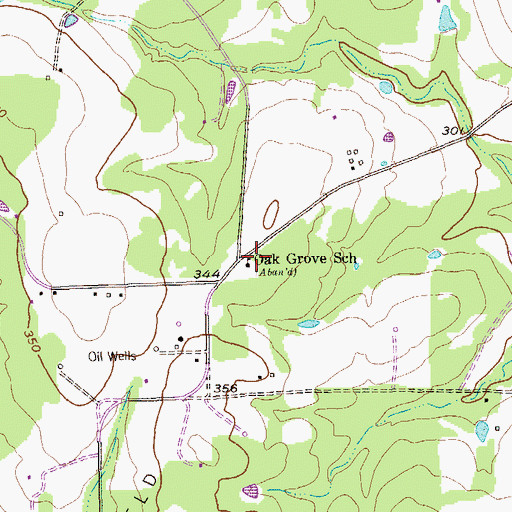 Topographic Map of Oak Grove School, TX