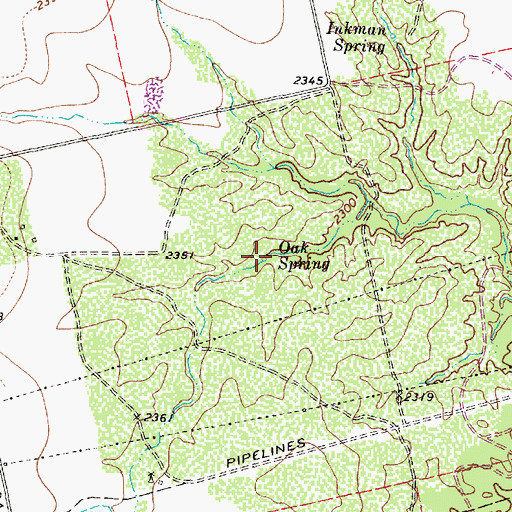 Topographic Map of Oak Spring, TX