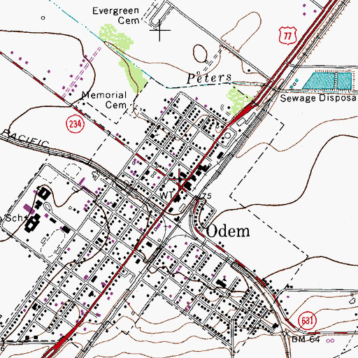Topographic Map of Odem, TX