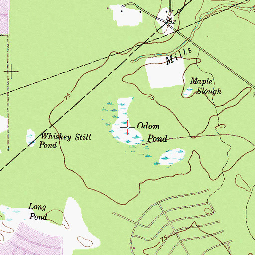 Topographic Map of Odom Pond, TX