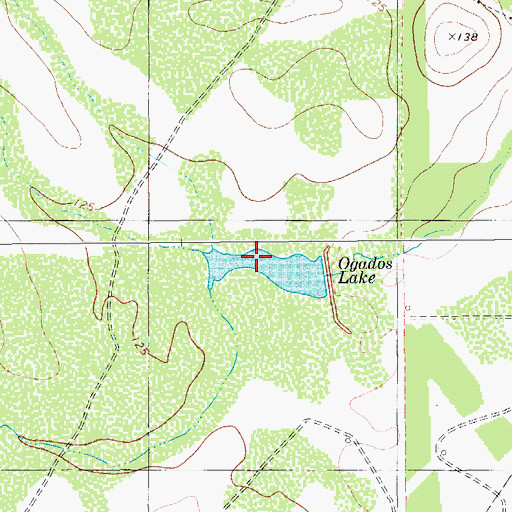 Topographic Map of Ogados Lake, TX