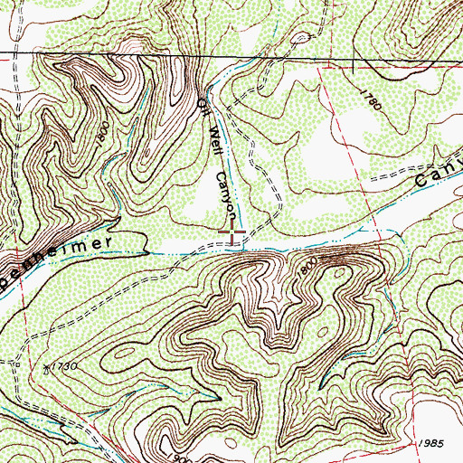 Topographic Map of Oil Well Canyon, TX