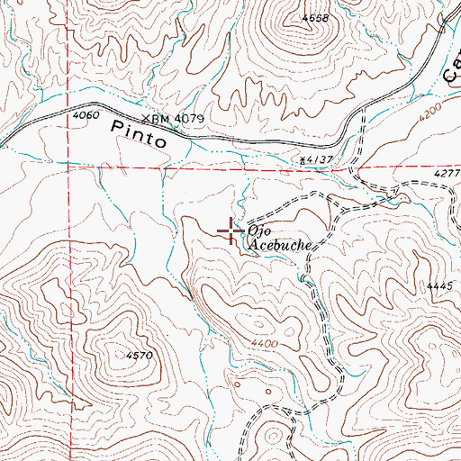 Topographic Map of Ojo Acebuche, TX