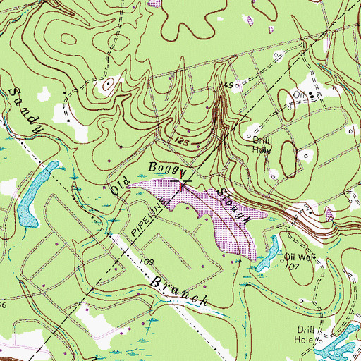 Topographic Map of Old Boggy Slough, TX