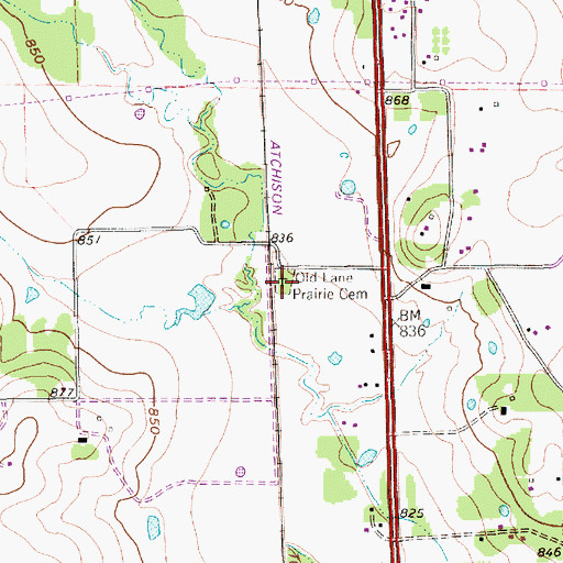 Topographic Map of Old Lane Prairie Cemetery, TX