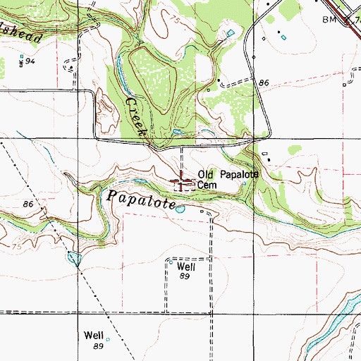 Topographic Map of Old Papalote Cemetery, TX