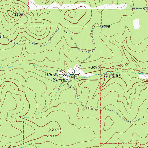 Topographic Map of Old Ranch Spring, TX