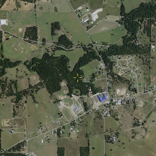 Aerial/Satellite Image of Olive Branch, TX