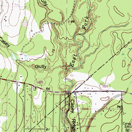 Topographic Map of Orton Gully, TX