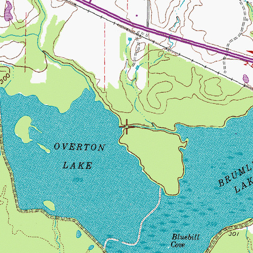 Topographic Map of Overton Lake, TX