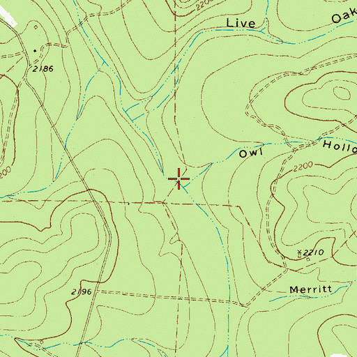 Topographic Map of Owl Hollow, TX