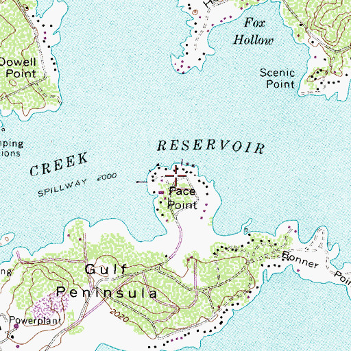 Topographic Map of Pace Point, TX