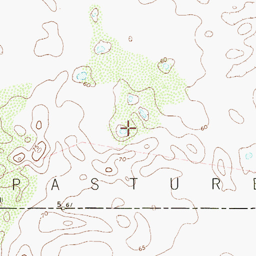 Topographic Map of Padrones Pasture, TX