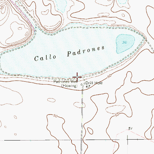 Topographic Map of Padrones Well, TX