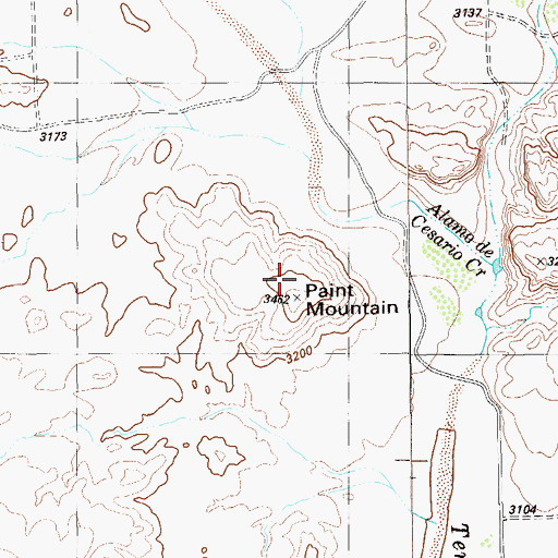 Topographic Map of Paint Mountain, TX