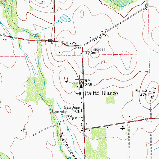 Topographic Map of Palito Blanco, TX