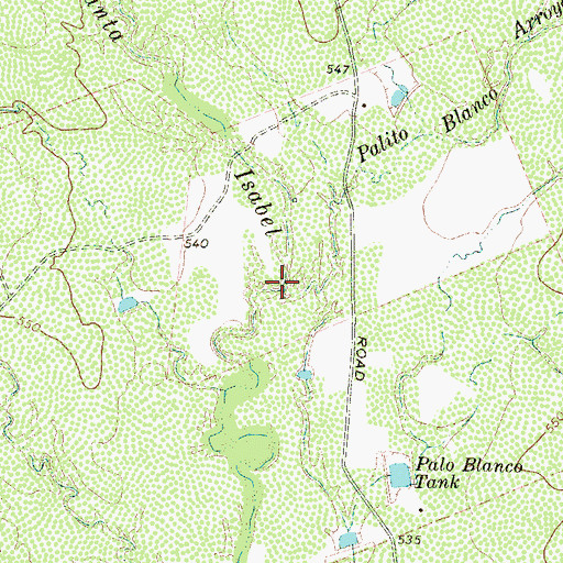 Topographic Map of Palito Blanco Arroyo, TX