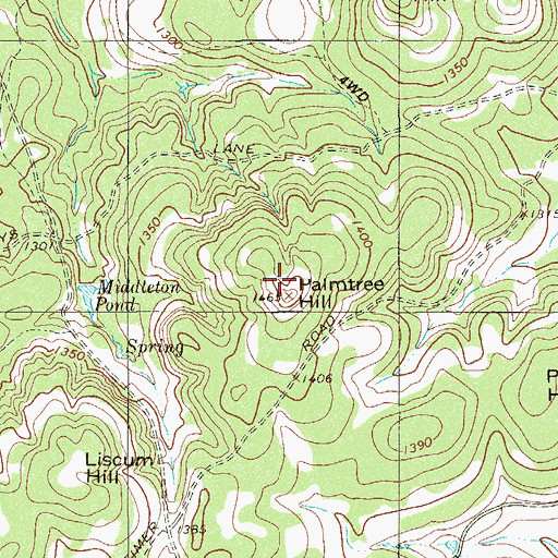 Topographic Map of Palmtree Hill, TX